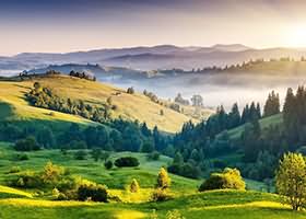 华德福德主场被利物浦虐，降级形势雪上加霜