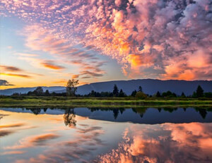 葡萄牙队在比赛中展现出强大实力