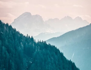 谢菲联客场不敌热刺，遭遇三连败