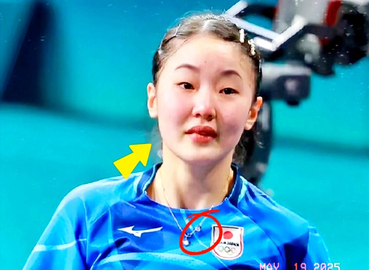 关键一球改变比赛走势，观众欣喜若狂的简单介绍