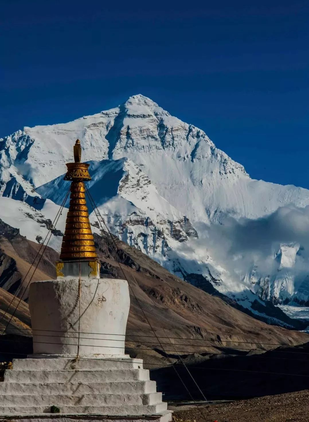 开云体育官方入口-关于宁夏队战胜西藏队，豪取三分的信息